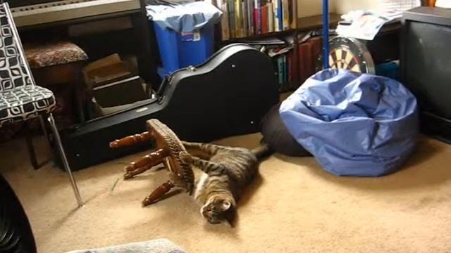 bigcat littlecat 2 смотреть онлайн