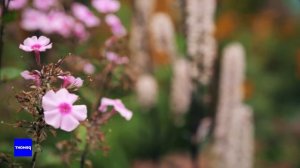 Создаём ландшафтный дизайн сада своими руками. Мастер-класс от Андрея Лысикова | #ВокругДома