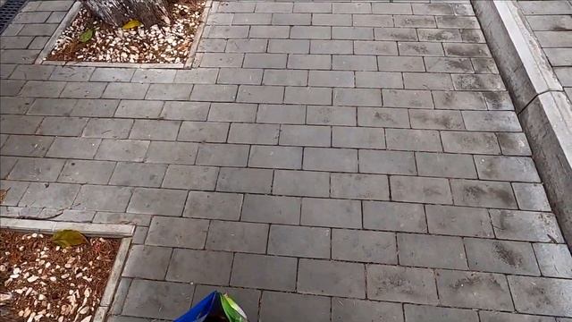 ГУЛЯЕМ С РЫЖИКОМ ПО ГОРОДУ. КУПИЛИ РУЛЕТ ЕМУ. ЯЛТА смотреть онлайн