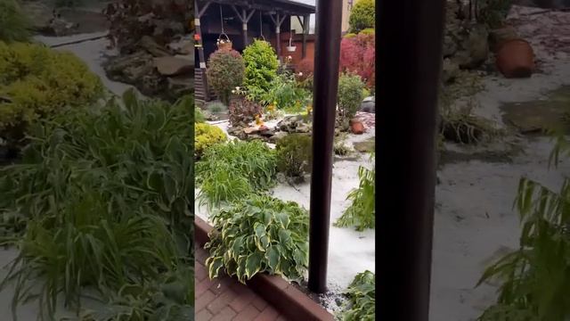 Град в Пятигорске 01.06.2023. Разбил весь мой сад и дороги в городе. Ямы на ул. Калинина. #град смотреть онлайн