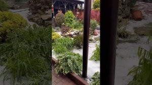 Град в Пятигорске 01.06.2023. Разбил весь мой сад и дороги в городе. Ямы на ул. Калинина. #град