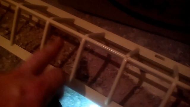 ТЕХАСКИЙ ПЕРЕПЕЛ/ПЕРЕПЕЛЯТАМ ПОШЛА ВТОРАЯ НЕДЕЛЯ. смотреть онлайн