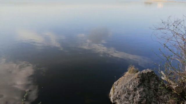 Клев карася на озере "Зеркальное" 27.04 смотреть онлайн