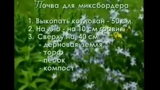 цветники своими руками/клумбы и цветники/формы цветников/цветники видео смотреть онлайн
