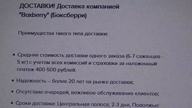 AGRO-MARKET-24--МОЖНО ЛИ ТАМ ЗАКАЗЫВАТЬ САЖЕНЦЫ?