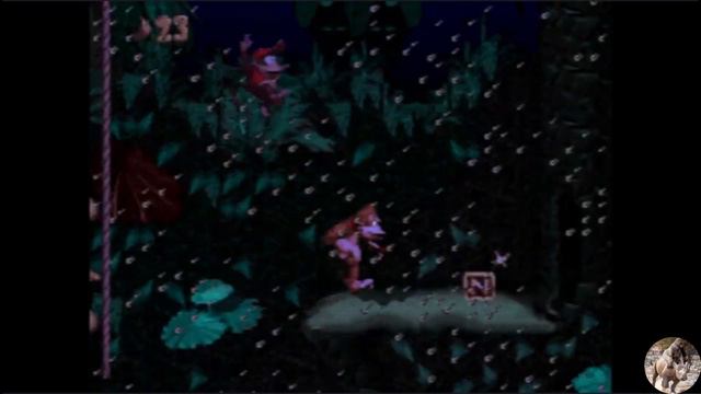 Donkey Kong Country, Kongo Jungle - Ropey Rampage KONG letters and Bonus Rooms смотреть онлайн