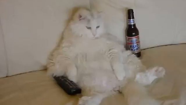 Nensi - Prochti pozhalujsta moe pismo (Club Mix) Прочти, пожайлуста, моё письмо! смотреть онлайн