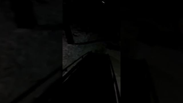 Видео из личного архива/ Видео с подругой 👭/ 04.12.2019 смотреть онлайн