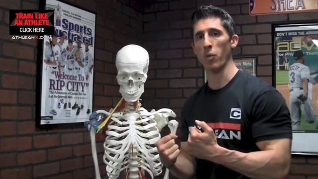 БОЛИТ ЛОКОТЬ ВО ВРЕМЯ ТРЕНИРОВКИ - почему и что делать | Джефф Кавальер