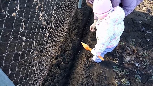 Садим горох. Сад, огород. 1 год 8 месяцев смотреть онлайн