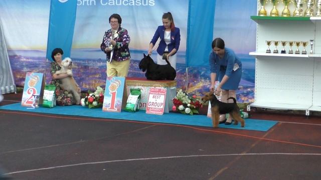 Интернациональная выставка собак CACIB-FCI "Северный Кавказ -2018 " смотреть онлайн