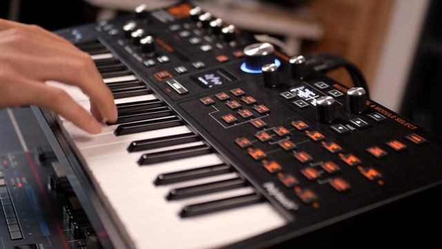 Oberheim PWM sound with ASM Hydrasynth (no talking) смотреть онлайн