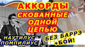 Скованные одной цепью Аккорды ? Бутусов Наутилус Помпилиус ♪ Разбор песни на гитаре ♫ Гитарный Бой