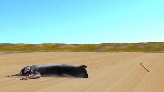 Scary Teacher 3D Vs Squid Game Wooden Spinning Tops Skateboard 5 Times Challenge Miss T Loser