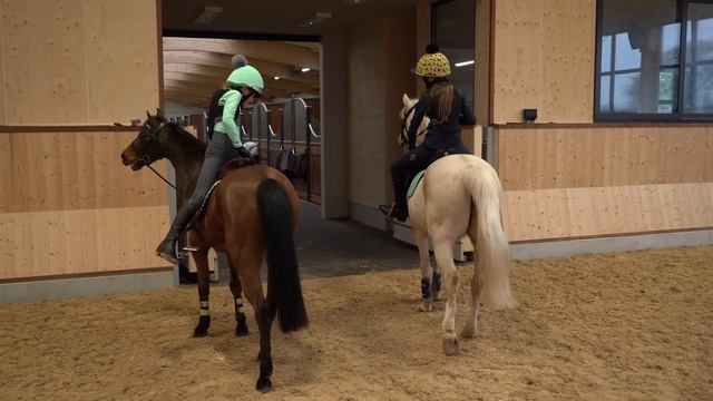 RIDING DARES CHALLENGE!!! * WILD CRAZY SPICY PONIES * HORSE RIDING STUNTS!