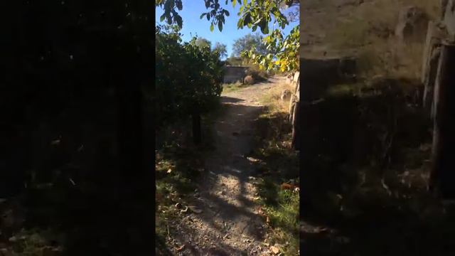 Верхняя Кутузовка дорога от остановки