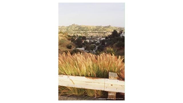 A New Color Film! Introducing CineStill 400Dynamic смотреть онлайн