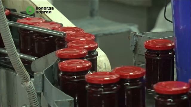 Проект по расширению производства реализует Вологодский комбинат пищевых продуктов леса смотреть онлайн
