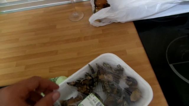 Странные щупальцы или морские трюфели смотреть онлайн