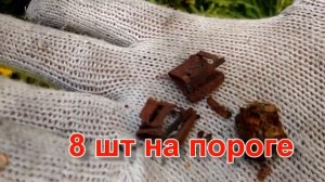 Парктроник не работает - ошибка U0159-00