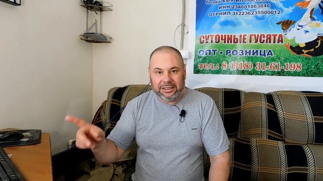 ГРАНТ требуют вернуть! Разбираем ошибки фермеров на конкретных примерах. смотреть онлайн