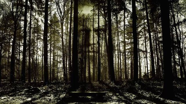 Тревожная музыка без слов, музыка наводящая ужас - "Мертвый лес" смотреть онлайн