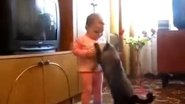 Кошка забрала котенка смотреть онлайн