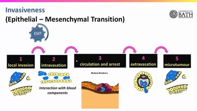 Metastasis смотреть онлайн