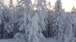 Смотреть всем! кому нравится природа Якутии