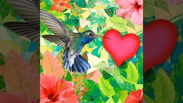 Idé Weré Weré смотреть онлайн