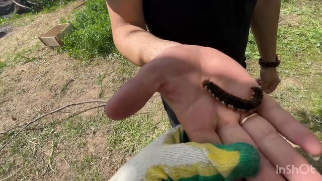 ЗАБОР ЗА 3 ДНЯ ? /Заброшенная дача или как замучать своих друзей . смотреть онлайн