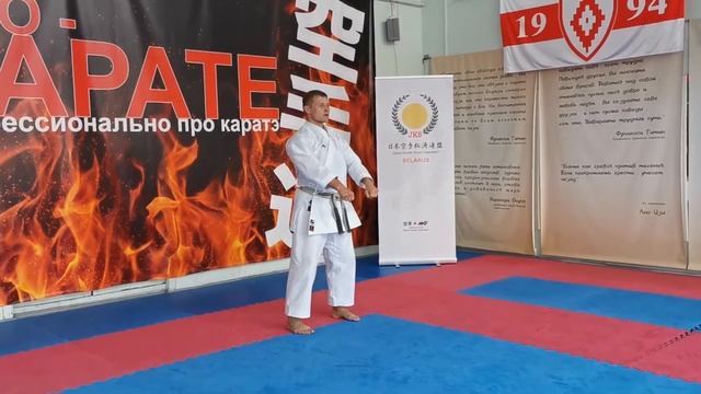 Heian Nidan #1. Kata and Bunkai. Full power and fast motion. Хейан Нидан #1. Ката и Бункай. смотреть онлайн