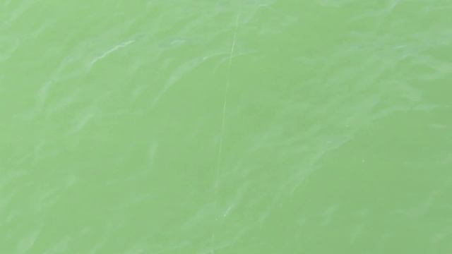 Рыбалка весной. Ловля бычка подкаменщика. Что делать когда нет копа 2018 смотреть онлайн