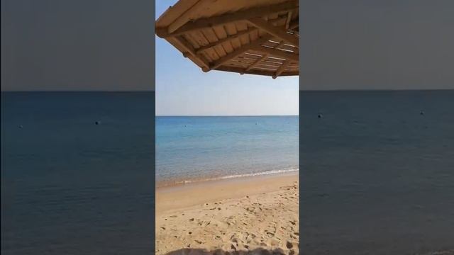 Pláž hotela Palm Beach Hurgada смотреть онлайн