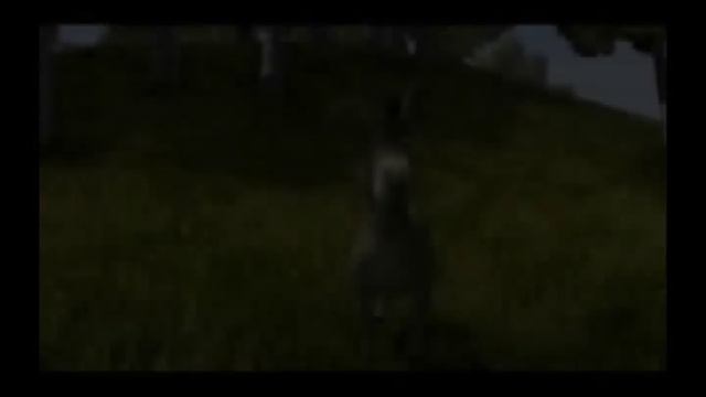 ведьма и осел.wmv смотреть онлайн