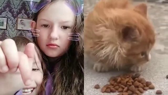 Помогите дать покушать лайкните и подпишитесь помогите котёнку