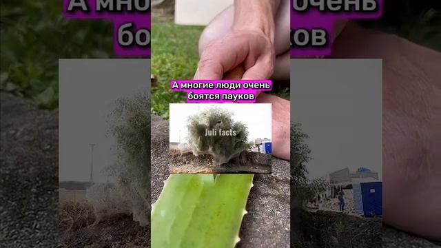 ЧТО БУДЕТ, ЕСЛИ МНОГО ЧИТАТЬ смотреть онлайн