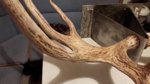 Вешалка для шапок  из рогов лося