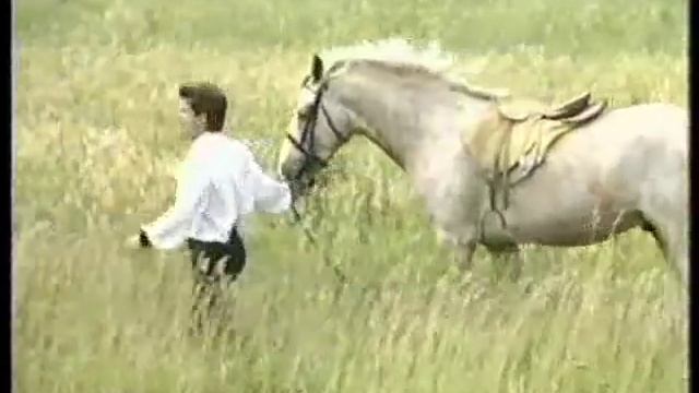 Феликс Царикати - Лети, душа.