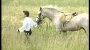 Феликс Царикати - Лети, душа.