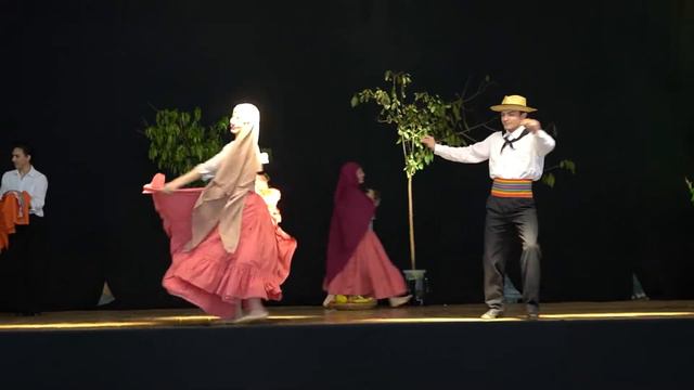 MERCADO GUAZU DEL PARAGUAY - TESINA DE DANZA PARAGUAYA POR LUANA CUEVAS смотреть онлайн