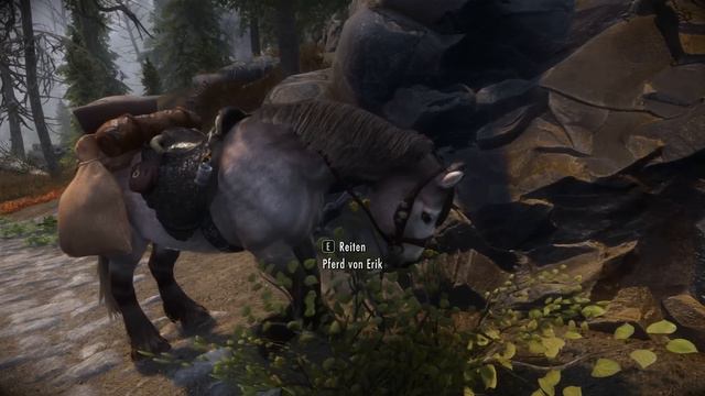 SKYRIM 2020 🐉 053: Sammelsucht In Gallenschlucht