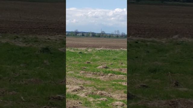 коп псв смотреть онлайн