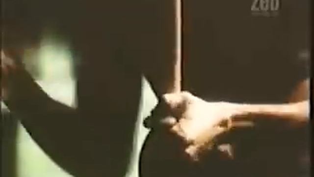 Aché Brasil Promotional Video смотреть онлайн