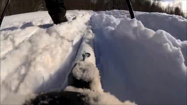 Один солнечный зимний день в лесу на лыжах смотреть онлайн