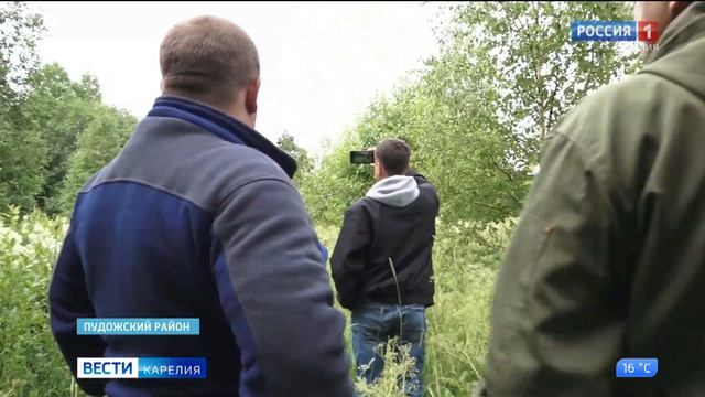 Онежские петроглифы в Пудожском районе хотят сделать популярными у туристов