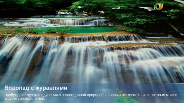 3D фотообои "Водопад с журавлями" смотреть онлайн