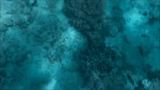 Kirov Reporting! смотреть онлайн