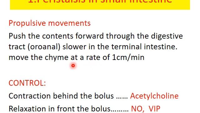 GIT 5 MEDICINE смотреть онлайн