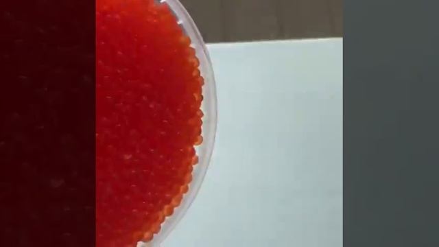 Красная икра 2018 смотреть онлайн